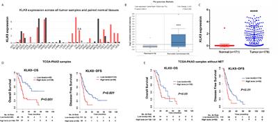 Upregulation of KLK8 Predicts Poor Prognosis in Pancreatic Cancer